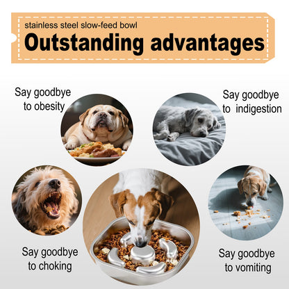 Stainless Steel Non Slip Slow Feeder Dog Bowl Metal Dog Food Bowls for Medium and Large Dogs, Fun Bloat Stop Pet Bowl Dog Water Bowl for Fast Eaters Slows Down Pets Eating