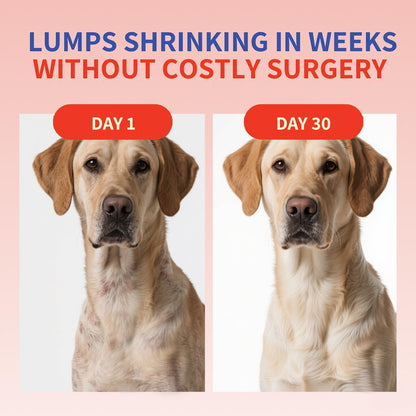 Turkey Tail+ - Dog Food Topper with Probiotics for Lipomas, Immune Support & Gut Health - 100 Servings - Bacon Flavor - Natural Allergy Relief - Supplements