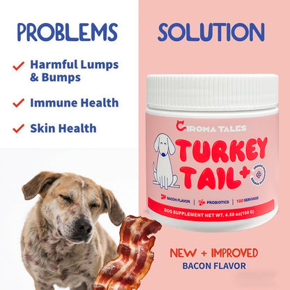 Turkey Tail+ - Dog Food Topper with Probiotics for Lipomas, Immune Support & Gut Health - 100 Servings - Bacon Flavor - Natural Allergy Relief - Supplements