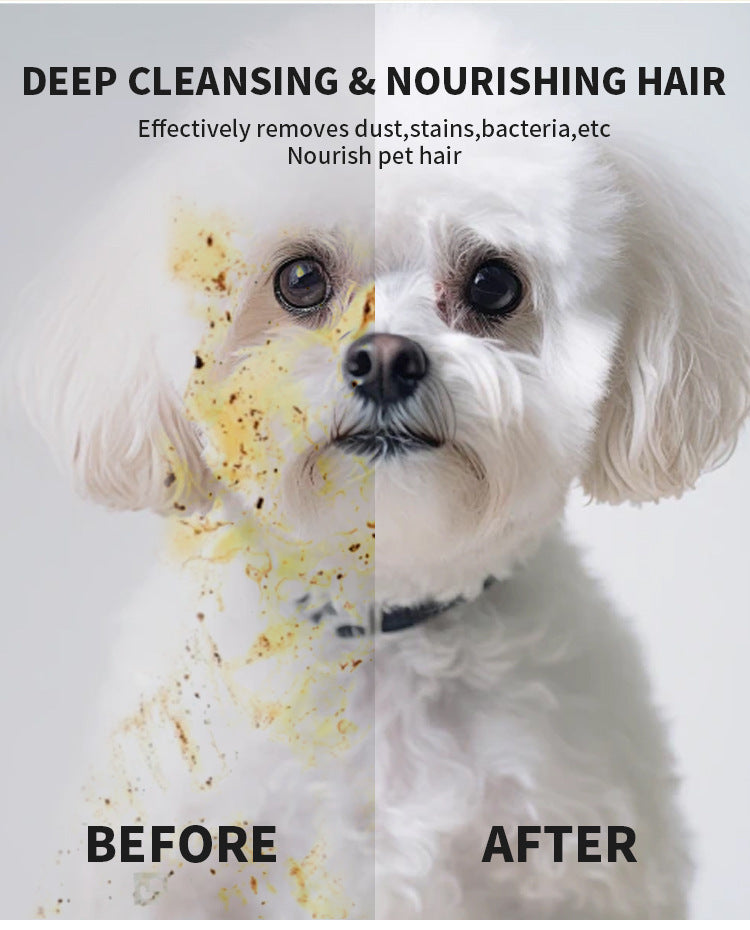 Magic Petting Experience: 6-Pair Pet Hair Remover Gloves - Groom & Clean Dogs or Cats As You Pet, with Built-In Safety Design